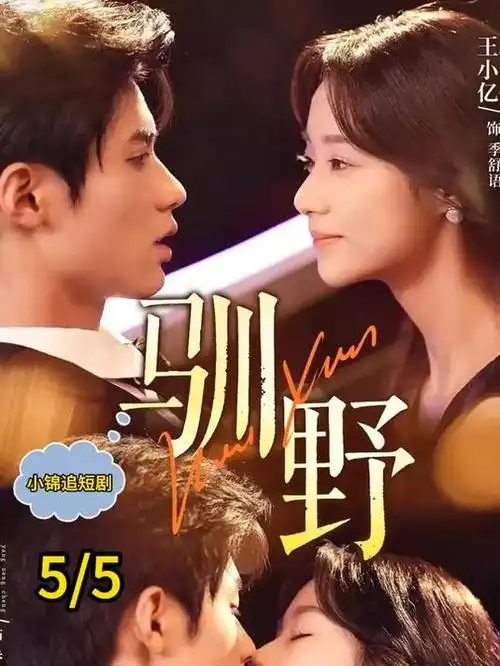 长风渡口 热播电视剧全集